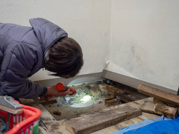  Long Beach, IN Mold Removal Pros