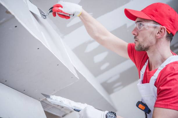 Best Water Damage & Mold Remediation  in Long Beach, IN